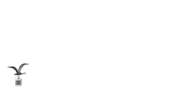 2 veces nominado a los Latin Grammy's & Ganador del Festival de Viña del Mar.